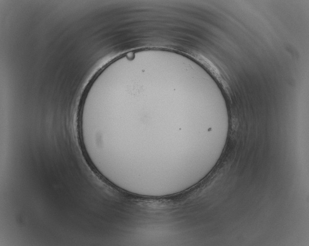 X0000116430947200912291905