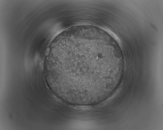 X0000116430953200912291905