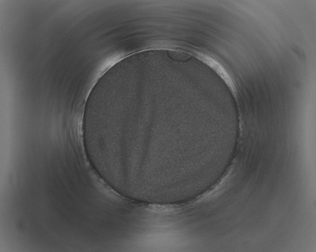 X0000116430954200912291905