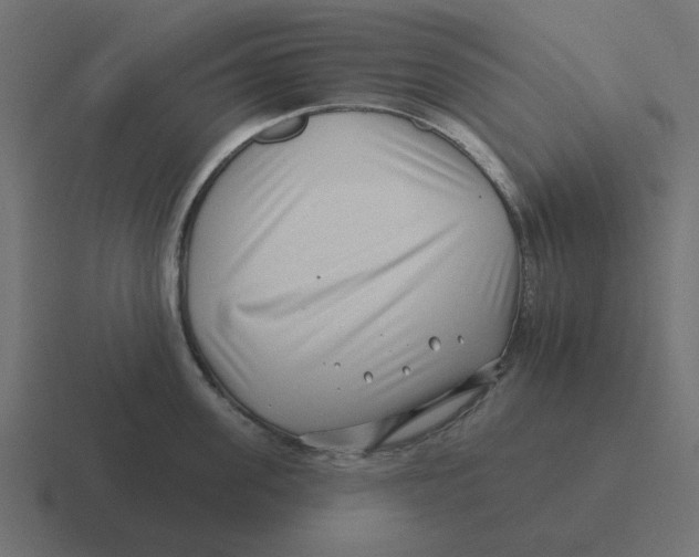 X0000116430955200912291906