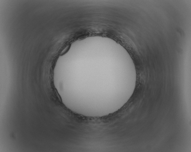 X0000116430961200912291905