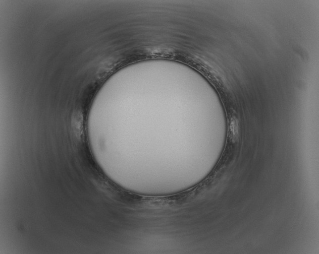 X0000116430963200912291905