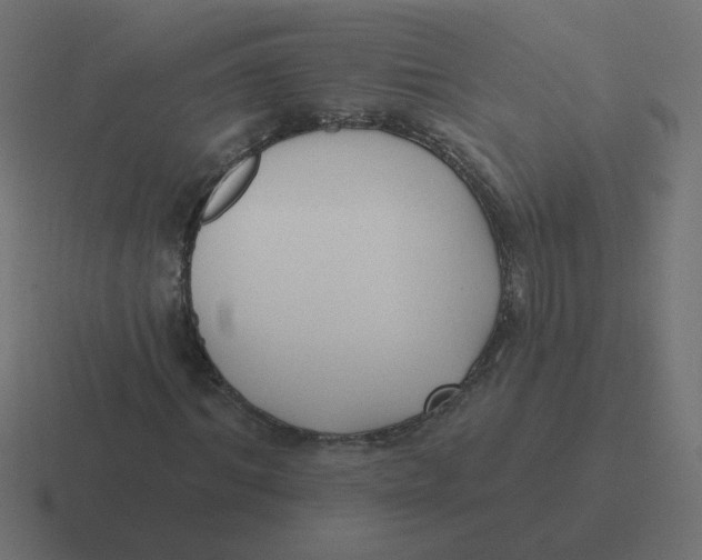 X0000116430964200912291905