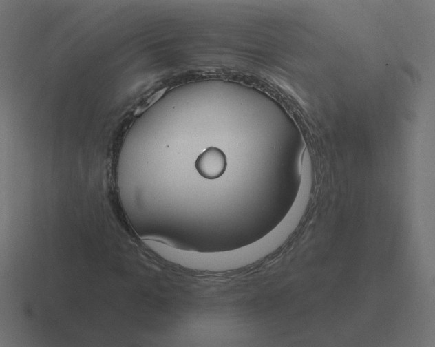 X0000116430965200912291905