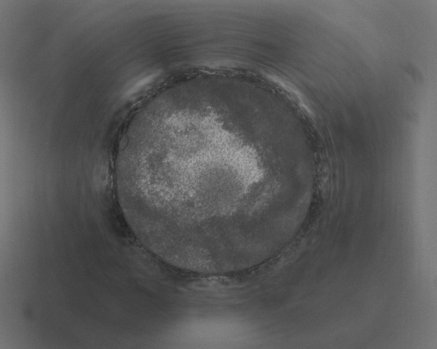 X0000116430966200912291905