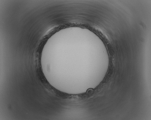X0000116430968200912291905