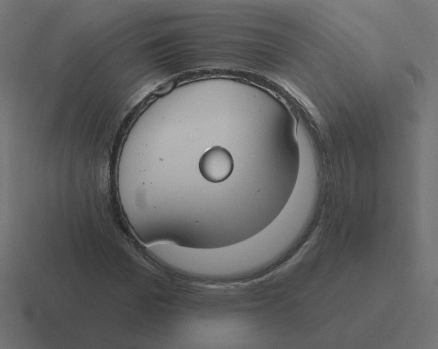 X0000116430969200912291905