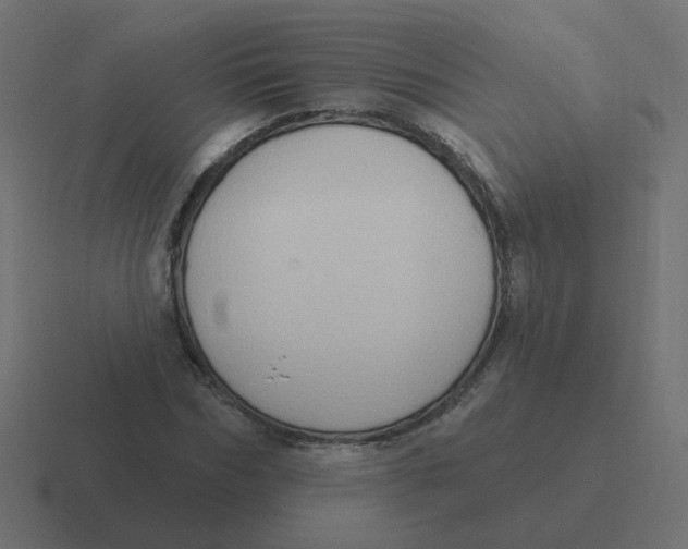 X0000116430970200912291905