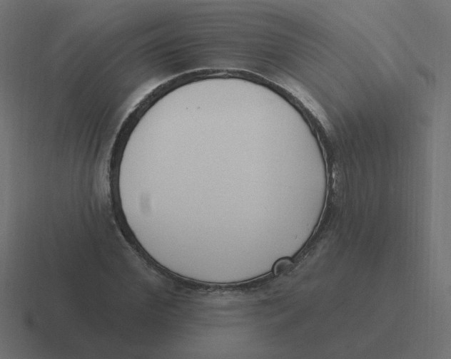 X0000116430972200912291905