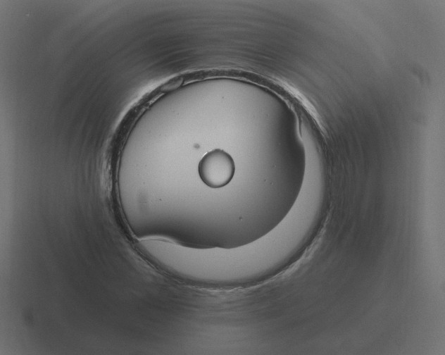 X0000116430973200912291905