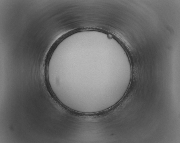 X0000116430976200912291905