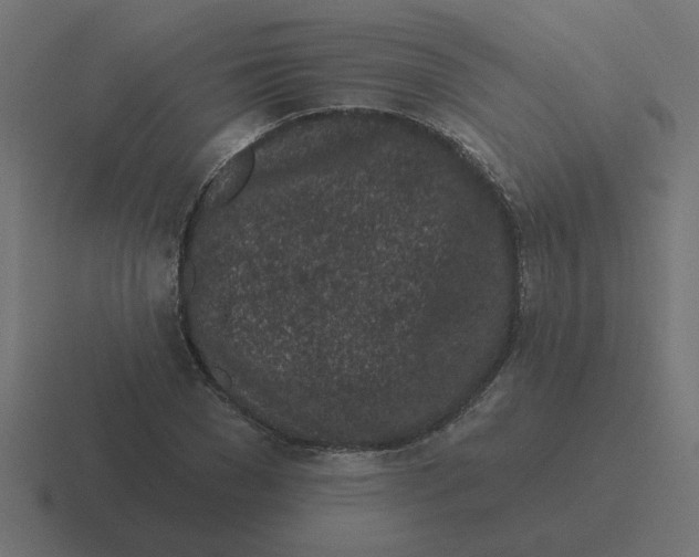 X0000116430977200912291905