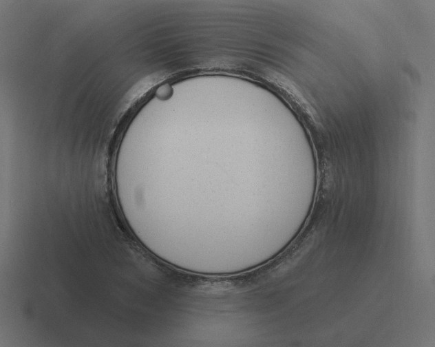 X0000116430978200912291905