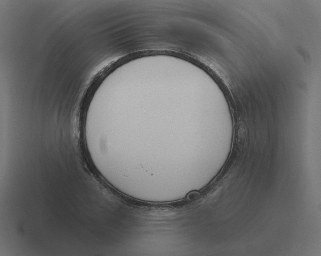 X0000116430979200912291905