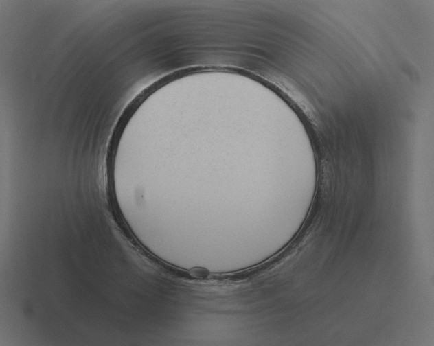 X0000116430980200912291905