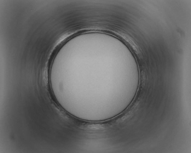 X0000116430982200912291905