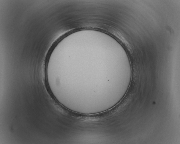 X0000116430984200912291905