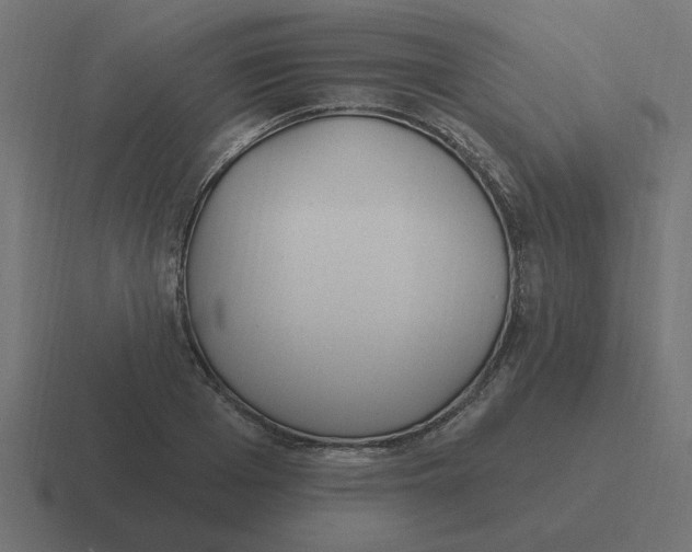 X0000116430985200912291905