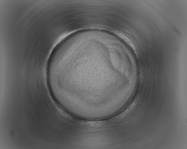 X0000116430989200912291905