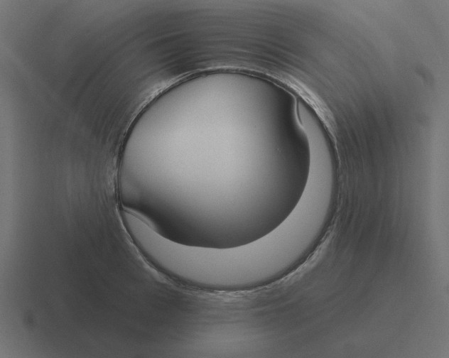 X0000116430993200912291905