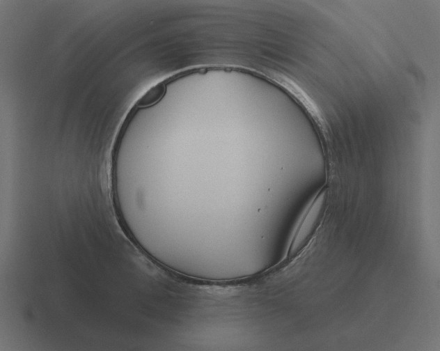 X0000116430996200912291905