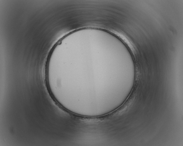 X0000116430999200912291904