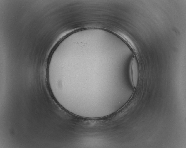 X0000116431000200912291904