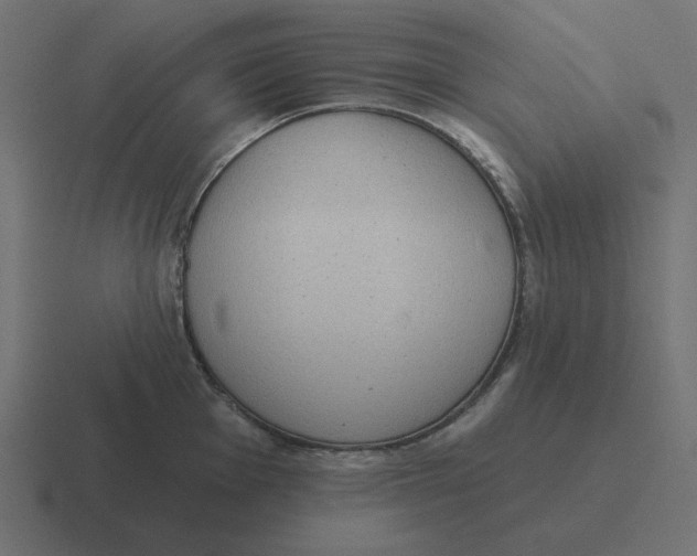 X0000116431001200912291904