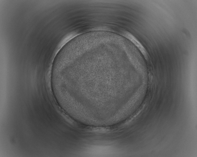 X0000116431002200912291904