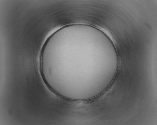 X0000116431003200912291904