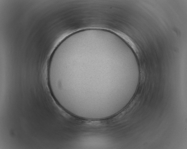 X0000116431006200912291904