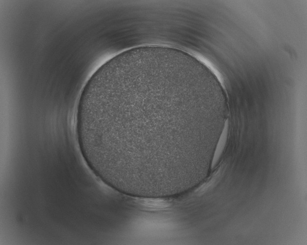 X0000116431007200912291904