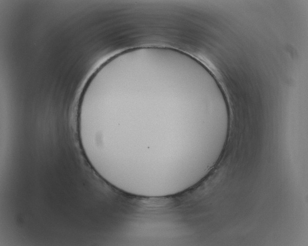 X0000116431008200912291904