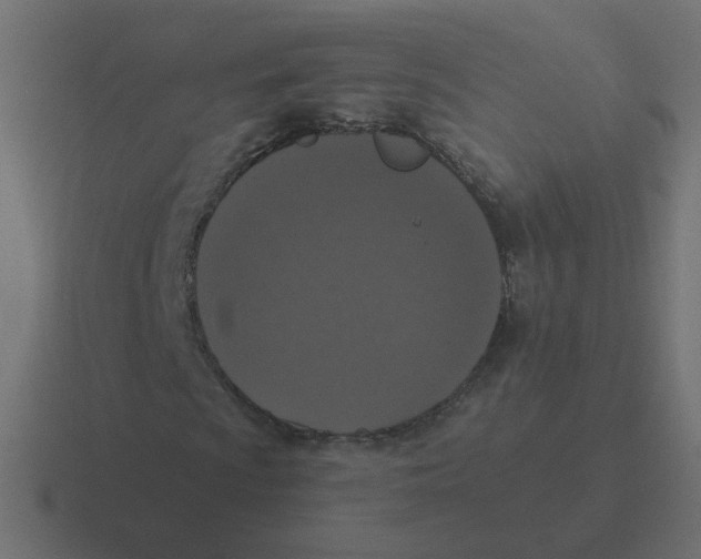 X0000116431009200912291904