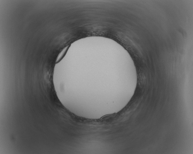 X0000116431010200912291904