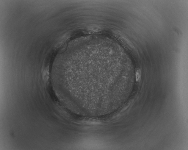 X0000116431011200912291904