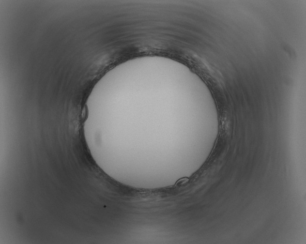 X0000116431012200912291904