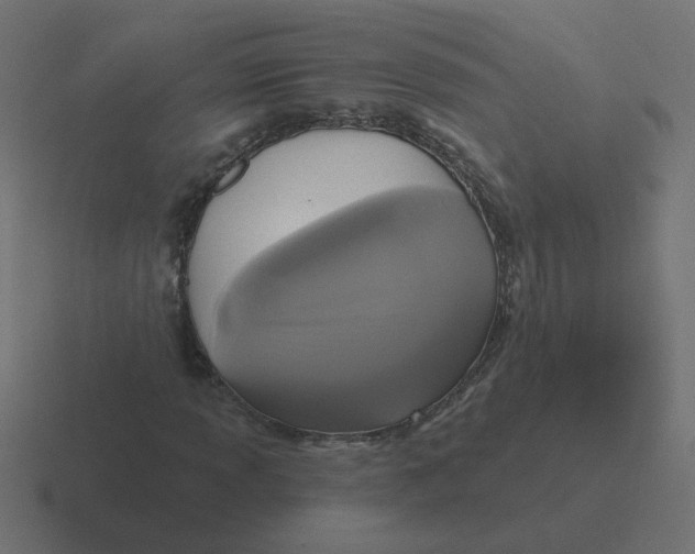 X0000116431013200912291904