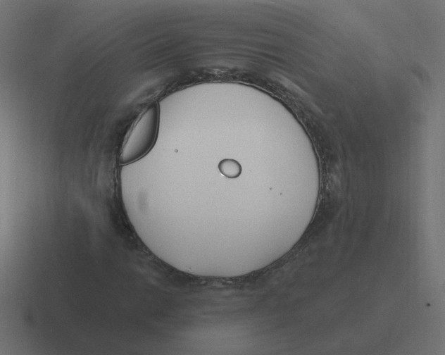 X0000116431014200912291904