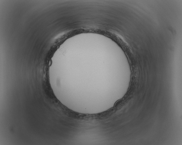 X0000116431016200912291904