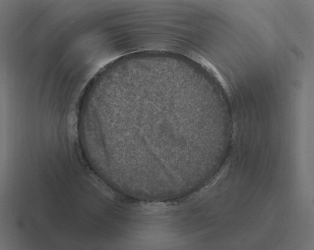 X0000116431019200912291904