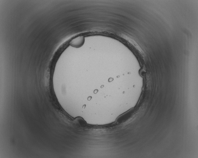 X0000116431021200912291904