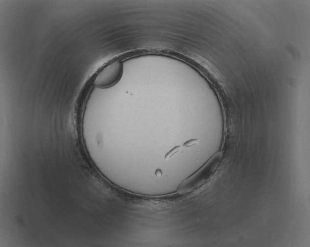 X0000116431022200912291904