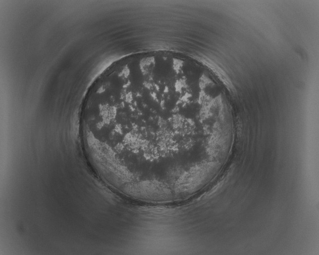 X0000116431023200912291904