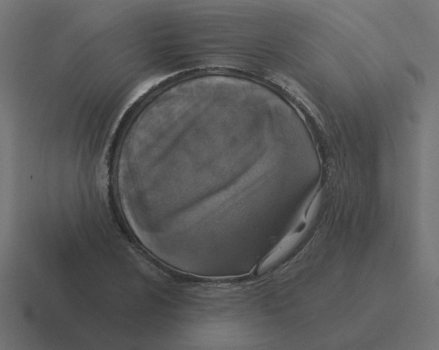 X0000116431024200912291904