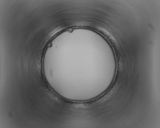 X0000116431025200912291904