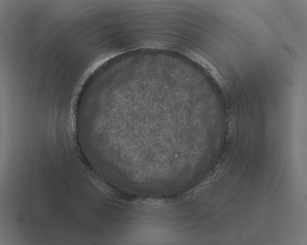 X0000116431027200912291904