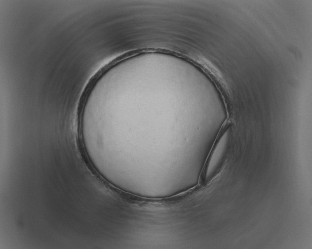 X0000116431028200912291904