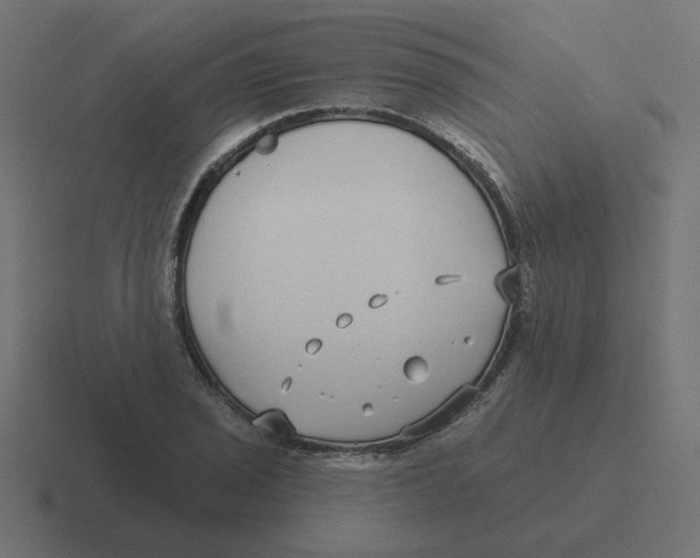 X0000116431029200912291904