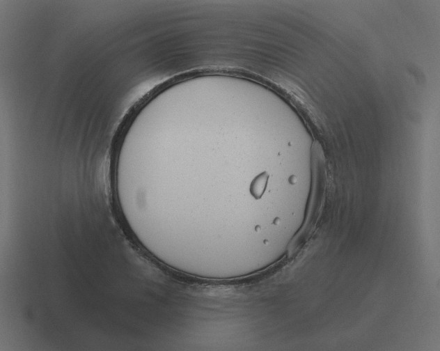 X0000116431030200912291904